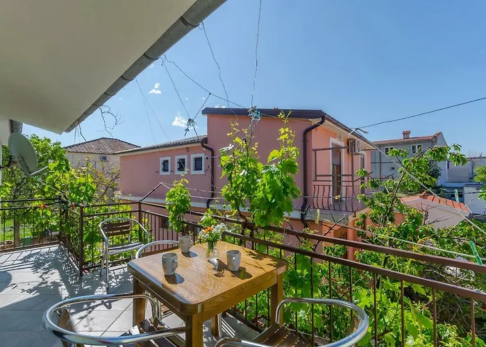 Sklopina 스타리그라드 파클레니차